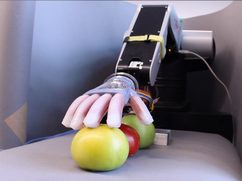 Robotska ruka bira paradajz