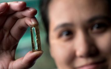 student slucajno izumio telefonsku bateriju koja moze trajati 400 godina