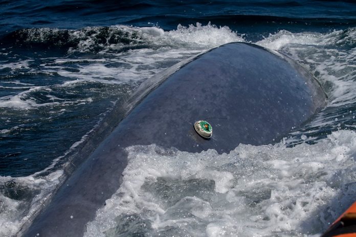 ADB tag uredjaj za pracenje kitova