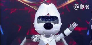 Robot Wangzai