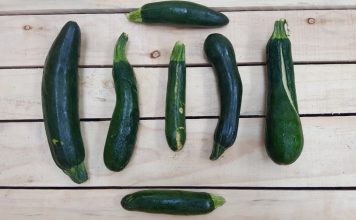 Startup koji prodaje samo ružno povrće Startup koji prodaje ruzno povrce