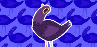 sta je trash dove