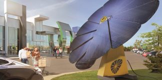 sunflower solarni suncokret