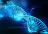 Snimanje podataka na DNK