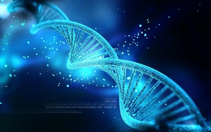 Snimanje podataka na DNK
