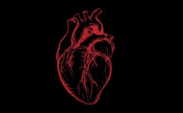 Algoritam koji predviđa srčani udar Algoritam koji predvidja srcani udar