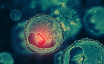 prvi genetski modifikovani ljudi